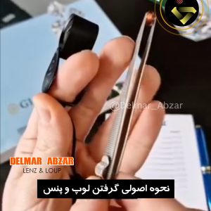 لوپ و پنس گوهرشناسی